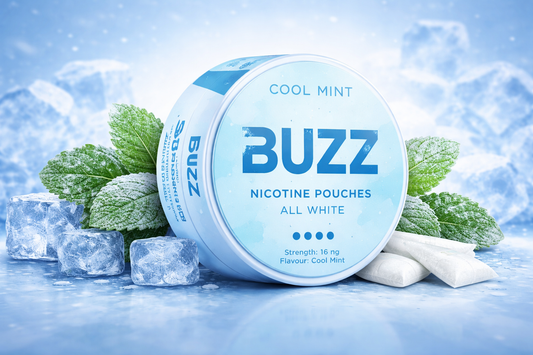BUZZ Cool Mint 16 mg Nicotine Pouches – All White | Maximum Strength Icy Fresh