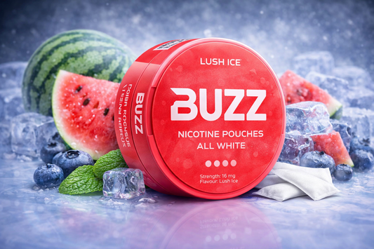 BUZZ Lush Ice 16 mg Nicotine Pouches – All White | Maximum Strength Watermelon Ice